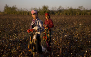 Two children picking cotton in Uzbekistan