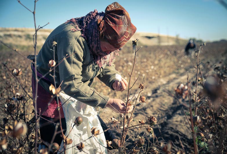 Forced labour in Uzbekistan cotton industry