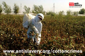 cotton crimes trafficking in persons report poster, image of person in forced labour on farm