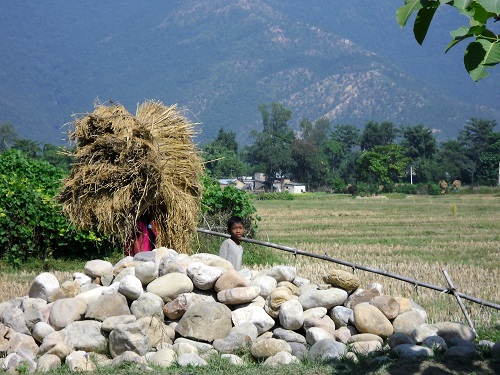 children in Nepal, bonded labour