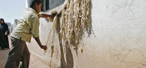 child labourer in India