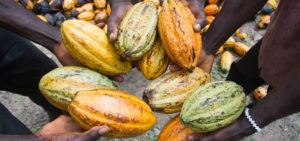 modern slavery in cocoa supply chains