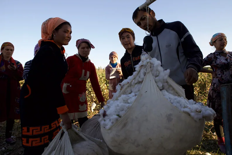 Uzbekistan forced labour in cotton