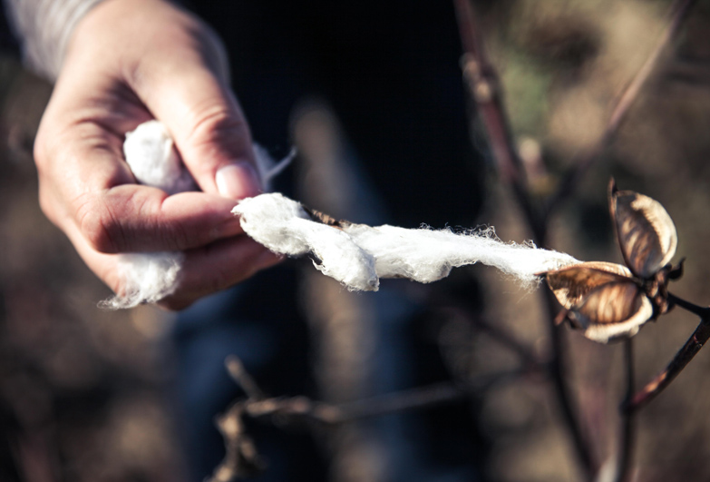 Cotton Crimes: Forced labour in Uzbekistan's cotton industry