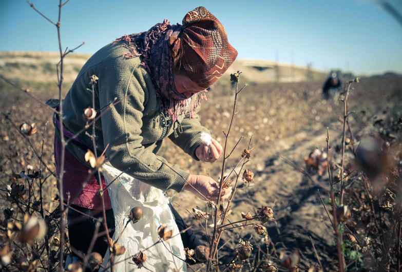 Cotton Crimes: Forced labour in Uzbekistan's cotton industry