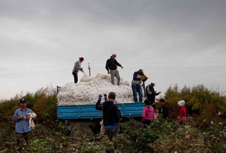 Cotton Crimes: Forced labour in Uzbekistan's cotton industry