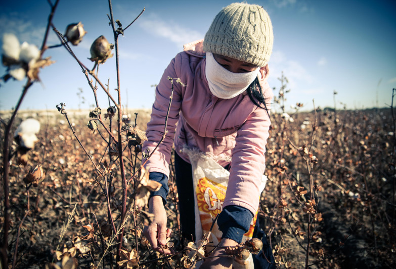 Cotton Crimes: Forced labour in Uzbekistan's cotton industry