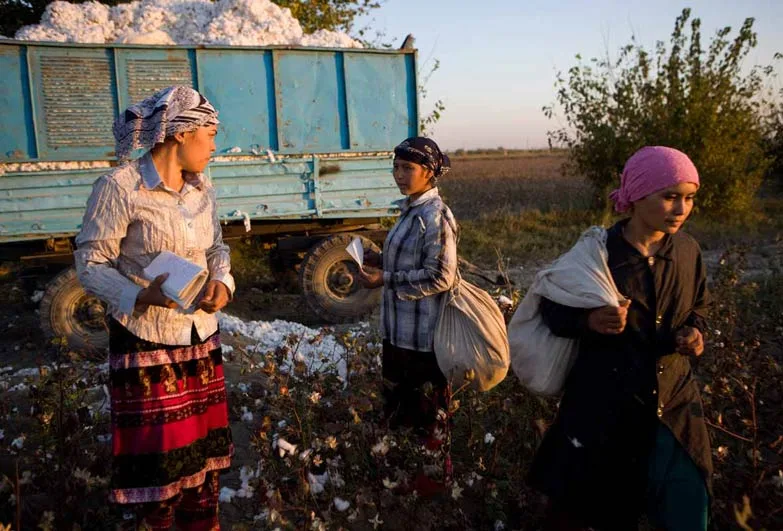 cotton-crimes-business-as-usual-banner