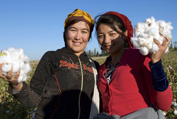 Cotton pickers Uzbekistan