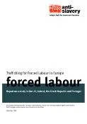 Thumbnail preview of Trafficking for Forced Labour in Europe