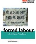 forced labour in North Korean prison camps report cover