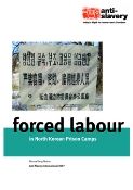 forced labour in North Korean prison camps report cover