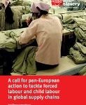 call for pan European action report cover