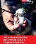 turkmen cotton and forced labour report cover