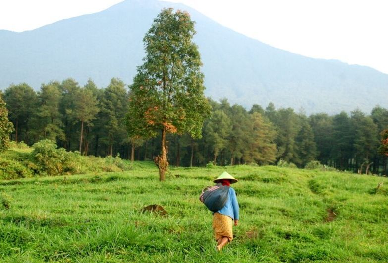 nepal field worker