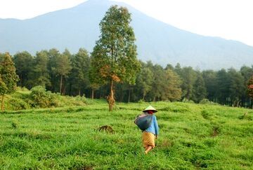 nepal field worker