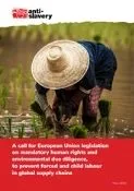 Thumbnail preview of European Union proposed legislation on mandatory human rights and environmental due diligence – policy paper