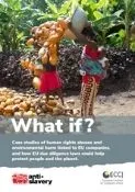 Thumbnail preview of What if? Case studies of human rights abuses and environmental harm linked to EU companies, and how EU due diligence laws could help protect people and the planet