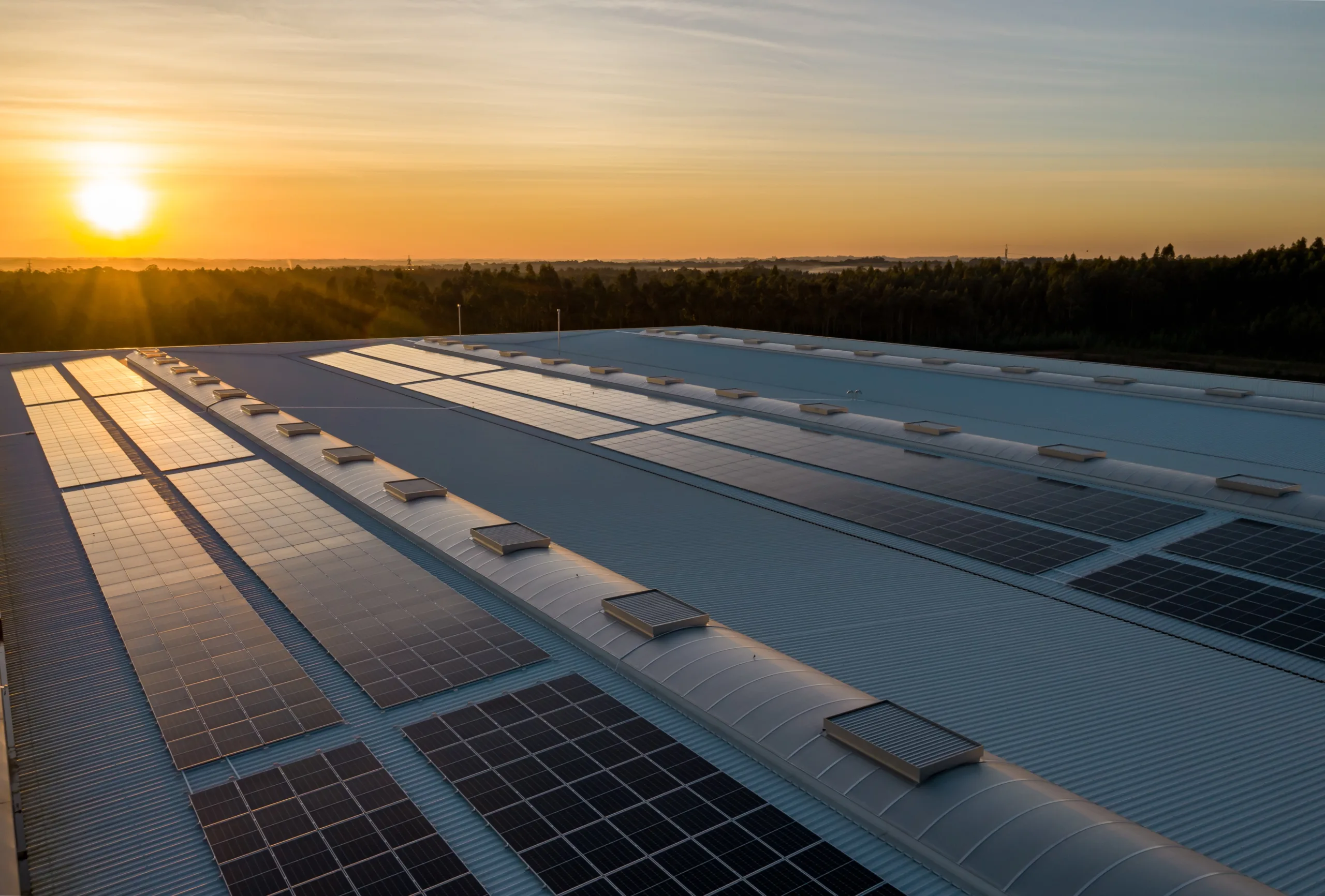 A large array of solar panels on a roof at sunset