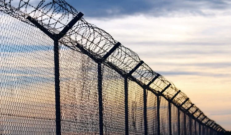 A barbed wire fence