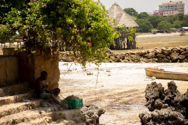A person takes a break from fishing, sitting under a tree in Dar Es Salaam
