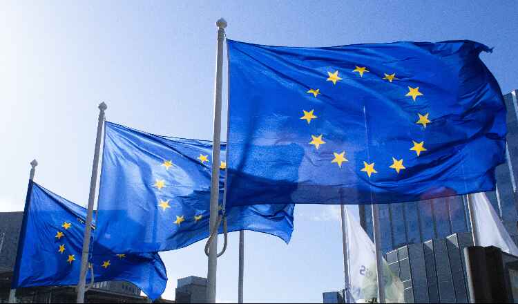 Flags outside an EU building