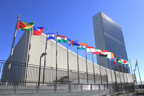 An image of the United Nations