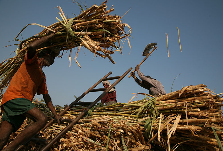 People working in a brick kiln