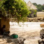 A person takes a break from fishing, sitting under a tree in Dar Es Salaam