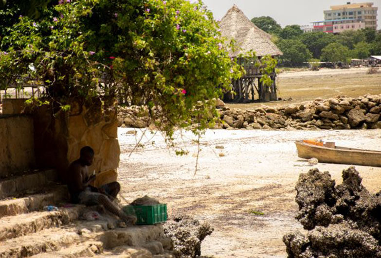 A person takes a break from fishing, sitting under a tree in Dar Es Salaam