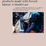 Thumbnail preview of A Model Law for the proposed EU Regulation on Forced Labour