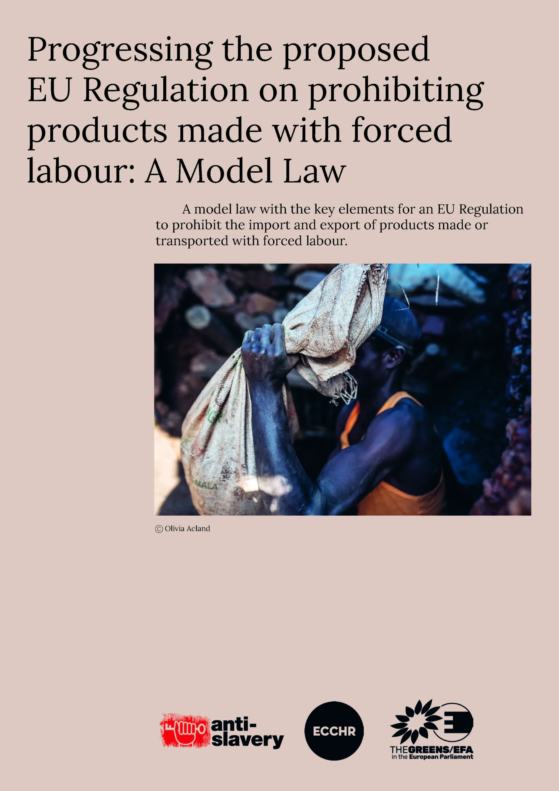 A Model Law for the proposed EU Regulation on Forced Labour cover