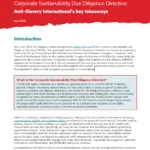 Thumbnail preview of Analysis of European Parliament’s proposal for the Corporate Sustainability Due Diligence Directive