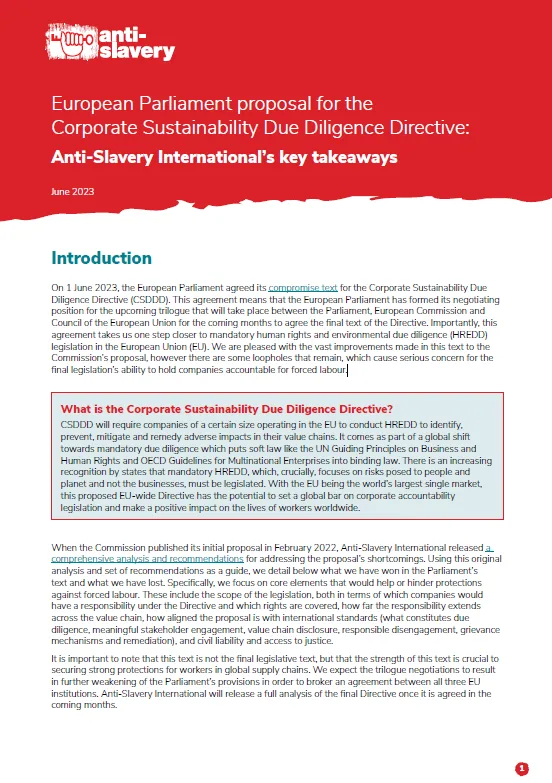 Analysis of European Parliament’s proposal for the Corporate Sustainability Due Diligence Directive cover