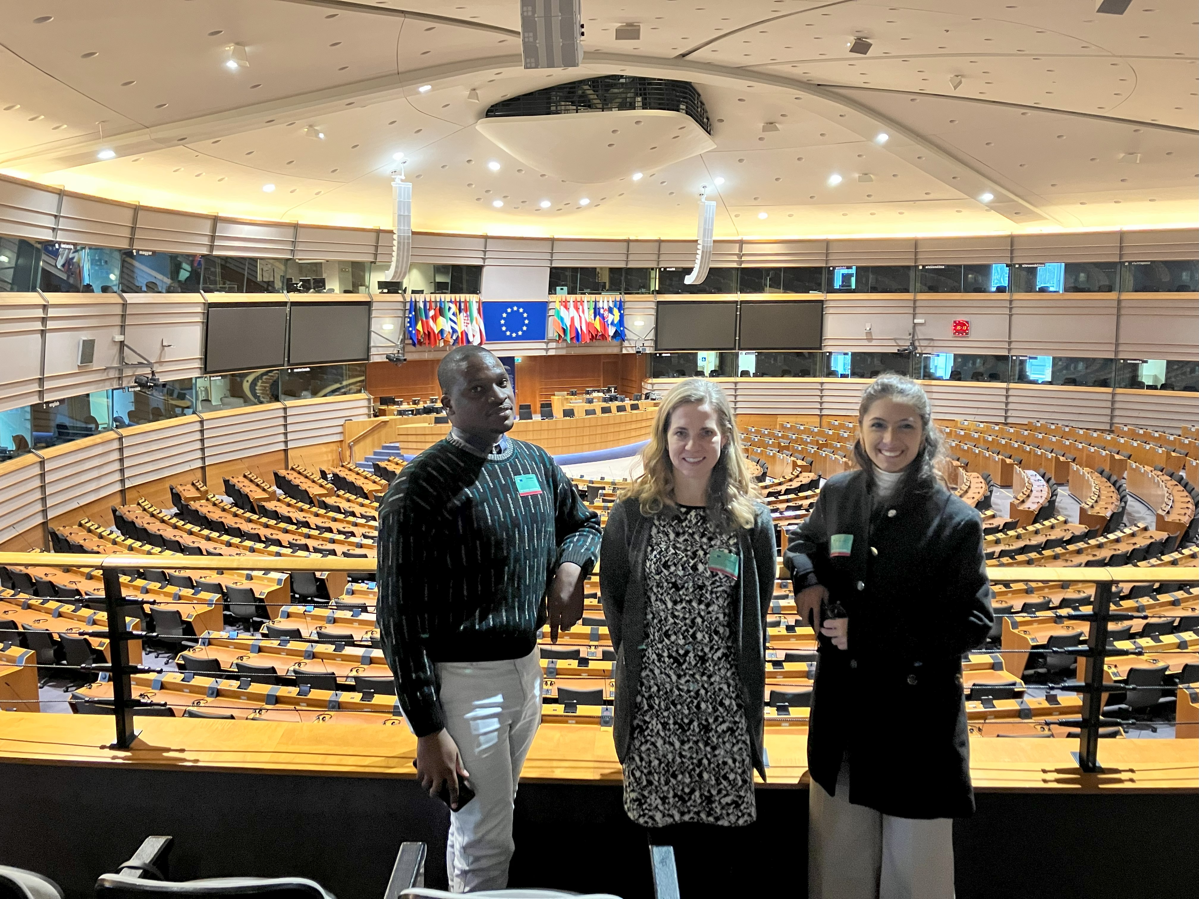 An image of NForce colleagues at the EU