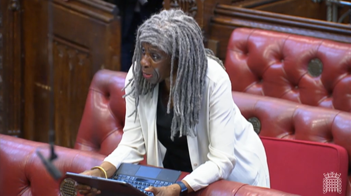 Baroness Young speaking in the House of Lords