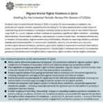 A thumbnail of an advocacy brief front cover