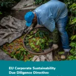 Thumbnail preview of Analysis of the EU Corporate Sustainability Due Diligence Directive (CSDDD) 