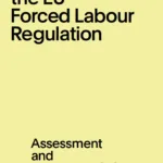 Thumbnail preview of Understanding the EU Forced Labour Regulation: Assessment and Recommendations