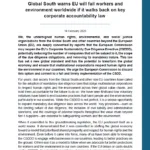 Thumbnail preview of Global South Organisations Joint Statement on the EU Omnibus