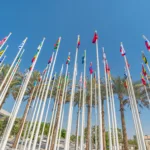 The flags of dozens of countries flying on flagpoles