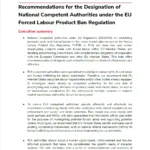 Thumbnail preview of Recommendations for the Designation of National Competent Authorities under the EU Forced Labour Product Ban Regulation