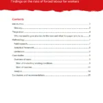 Thumbnail preview of Platform economy: findings on the risks of forced labour for workers