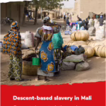 Thumbnail preview of Descent-based slavery in Mali: current characteristics and recent responses